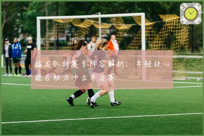 猛龙队新赛季阵容解析:年轻核心能否助力冲击季后赛