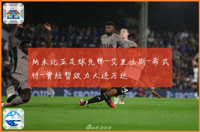 纳米比亚足球先锋-艾里法斯-希武特-曾短暂效力大连万达