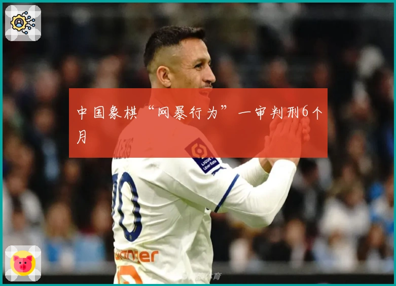 中国象棋“网暴行为”一审判刑6个月