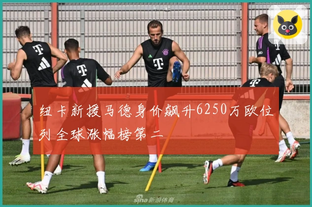 纽卡新援马德身价飙升6250万欧位列全球涨幅榜第二