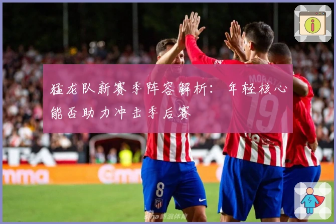 猛龙队新赛季阵容解析：年轻核心能否助力冲击季后赛